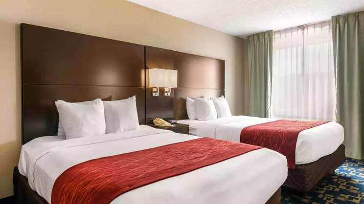 2 Queen Beds, 1 Room Suite